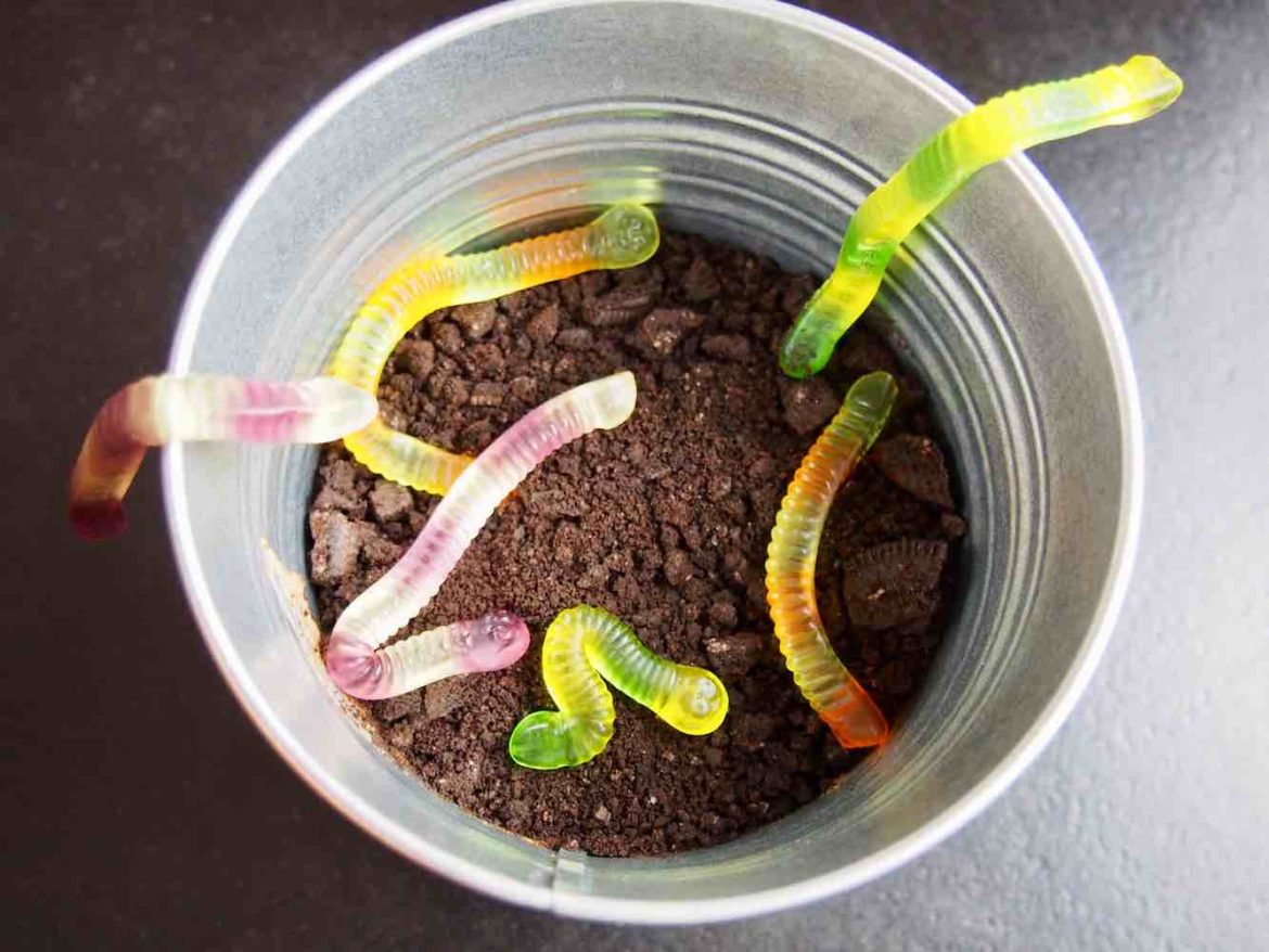 Wurmpudding mit Erde