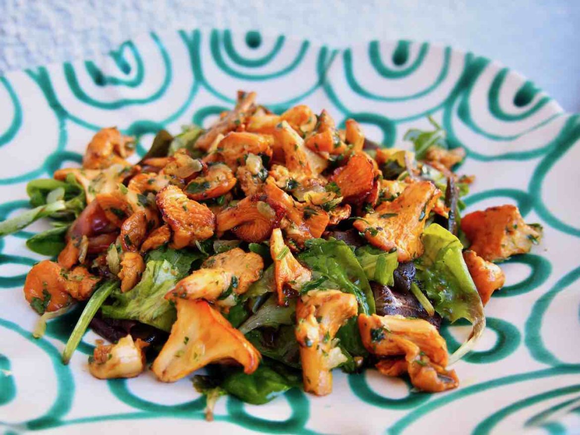 Salat mit gerösteten Eierschwammerl